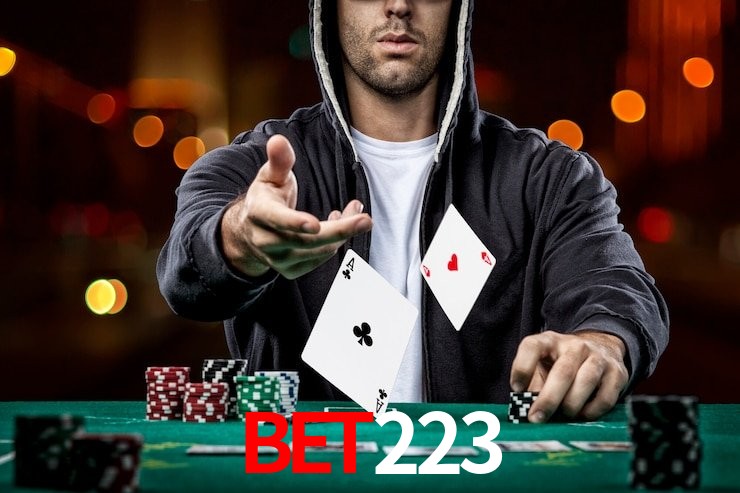 bet223 casino