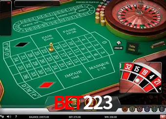 Descubra o Mundo do Cassino Online com bet223